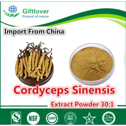 Anti-fatigue,Enhance Immunity,Best Natural Cordyceps Sinensis Extract Powder 30:1,Top Grade Chinese Nourishing Herbs,Aweto