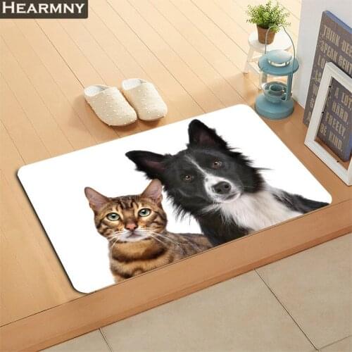 Nice Leopard Cat Doormat Outdoor Floor Mat Home Creative Mat Super Soft Absorbent Bathroom Door Entrance Mat 40X60cm,50x80cm