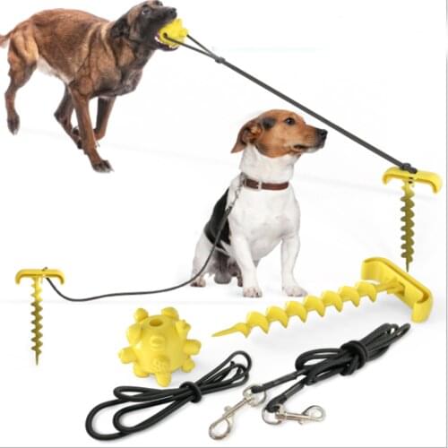 Outdoor Portable Tie Down Dog Traction Rope Ground Pile Ground Nail Pet Chew Toy Cleaning Dog Toothbrush Pet Leash