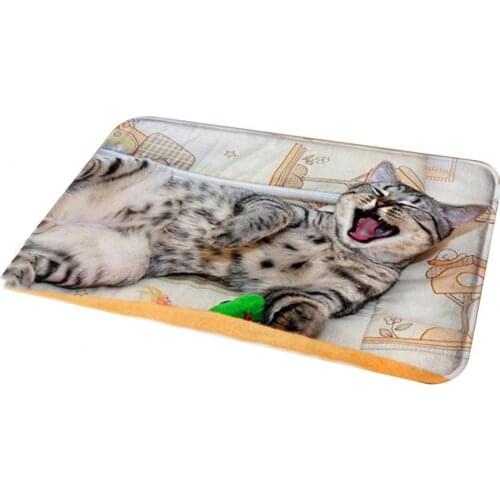 Hot Sale 60%Cute Cat Puppy Print Floor Mats Door Mat Anti-slip 3D Corals Velvet Cat Dog Pattern Floor Mat for Bedroom Door