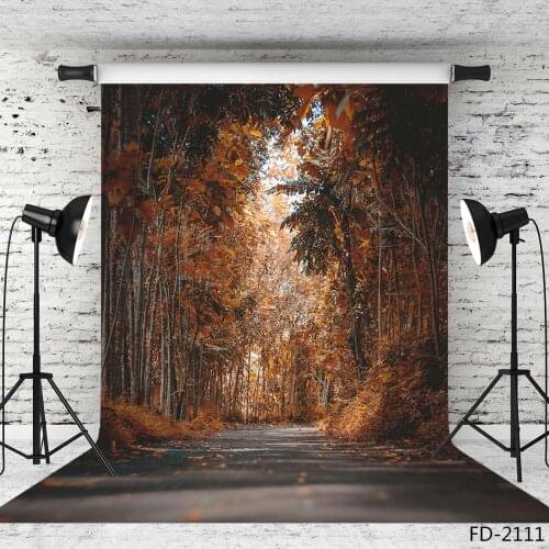 Late Autumn Pathway Photographic Backgrounds Vinyl Backdrops Photo Studio for Photo Shoot Portrait Photobooth Decor
