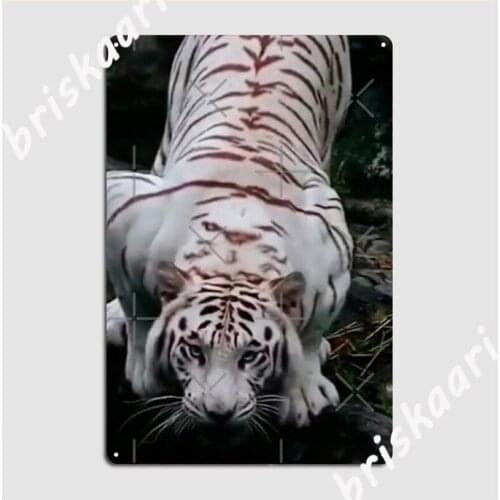 Tiger Metal Plaque Poster Plaques Wall Pub Retro Kitchen Tin Sign Poster