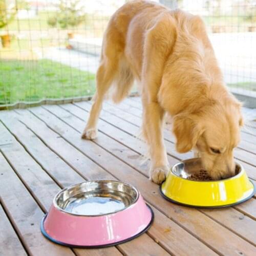 Dropshipping Stainless Steel Random Color Spray Paint Pet Dog Bowls Puppy Cats Food Drink Water Feeder Non-slip Feeding Dishes