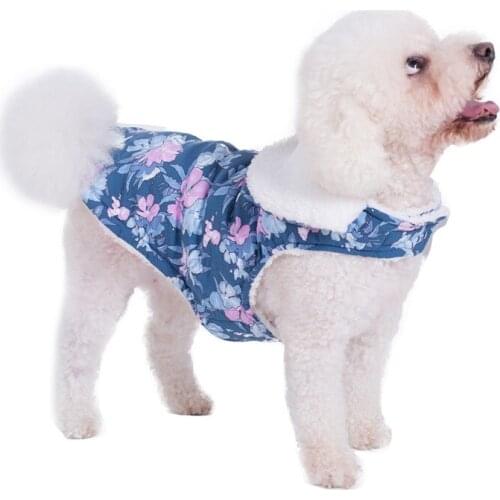 Autumn Winter Dog Clothes For Small And Medium Dogs Puppy Cashmere Coat Cat Two-legs Costume Ropa Para Perro