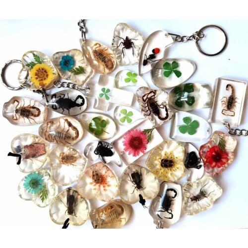 YQTDMY 12 pcs mixed style insect scorpion lucid color keychain Insect Specimen keychain Crafts