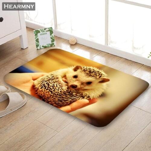 Customizable Hedgehog Animal Doormat Floor/Bath/Kitchen/Beach Mat Flannel Sponge Fabric 3D Printed Shaggy Decoration For Bedroom