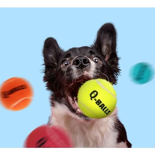 Dog Toy Tennis Ball Squeaky Bouncy Chew Ball Thick Walled Natural Rubber Fetch lnteractive Pet Toy 1-pack