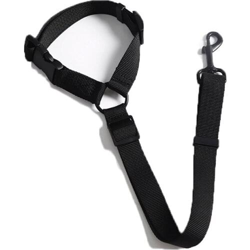 New and Convenient Pet Traction Rope Car Seat Belt 2 in One Dog Car Dual Purpose with Rear Seat Safety Rope