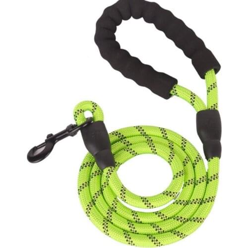 Nylon Pet Dog Lead Puppy Walking Running Slip Collar Rope Strap Training Leashes Reflective 150cm length Suits Medium Breed Dogs