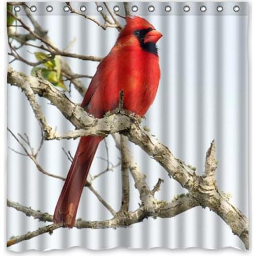 Northern Cardinal Bird Shower Curtain Bath Curtains Waterproof Mildew Resistant Polyester Bathroom Curtain With Hooks 180*180cm