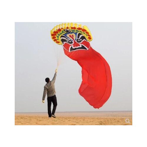 Free shipping 8m 10m 20m 27m large opera kites flying octopus kites power kite for adults 3d kite factory parafoil walk in sky