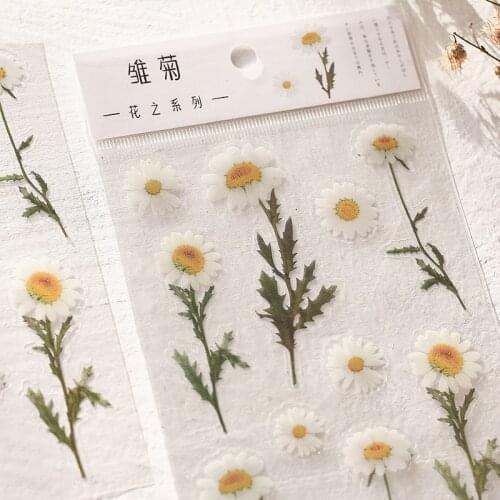 IPC 12Designs Flowers Leaves Plants Japanese Words Stickers Natural Daisy Clover Deco Sticker Aesthetic Transparent Material