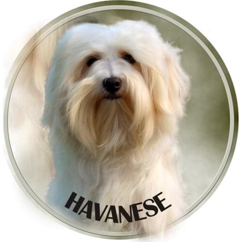 S40377# Various Sizes PVC Decal Havanese Dog Animal Car Sticker For Bumper Rear Window Laptop Refrigerator Toilet