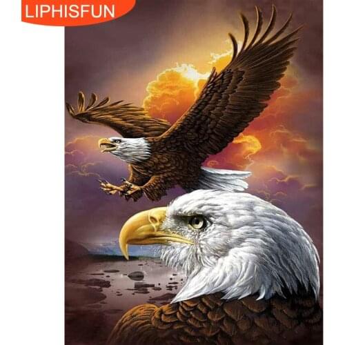 Animals Eagle DIY 5D Diamond Full Diamond Painting Cross Stitch Kits Home Decor Square Diamond Embroidery