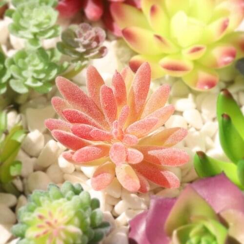39 Styles Green Purple Red Pink Blue Flocking Mini Artificial Succulents Bonsai Home Garden Office Bedroom Christmas Decoration