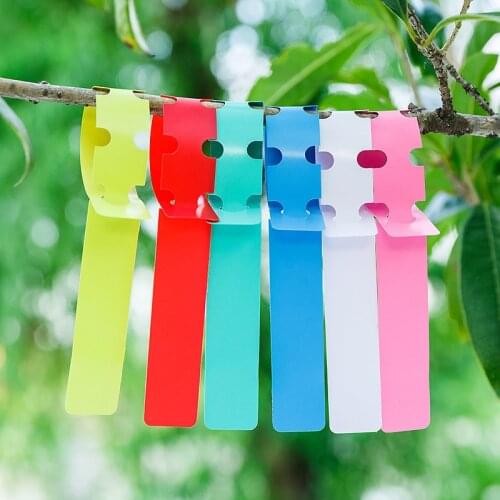 100 Pcs Plant Tags Garden Nursery Label Hanging Tree Markers Seedling Plant Fruit Trees Signs Prompt Card Classification Tool