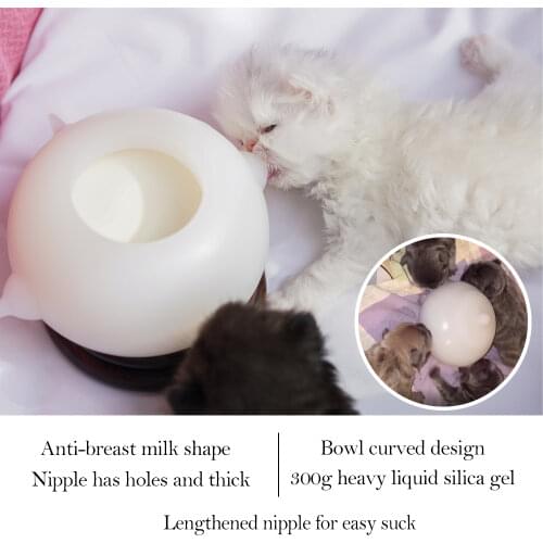 Dongdong pet Products For Dogs