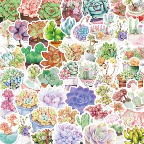 10/30/50PCS Succulent Flower Plant Graffiti Sticker Laptop Suitcase Waterproof Guitar Decoration Sticker Toy Wholesale