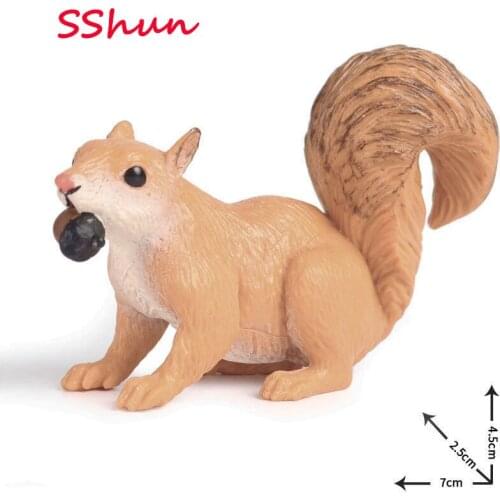 7*2.5*4.5cm Children cognitive science and education simulation animal model solid plastic wild squirrel fleshy sand table scene