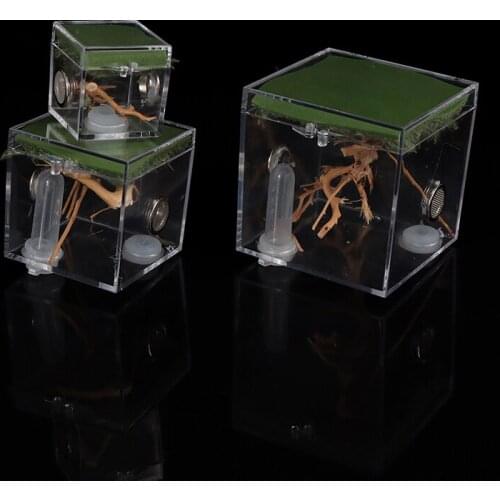 1set Small Spider Ant Farm Insect Breathable Terrarium Transparent Reptile Breeding Box Acrylic Assembled Eco Box
