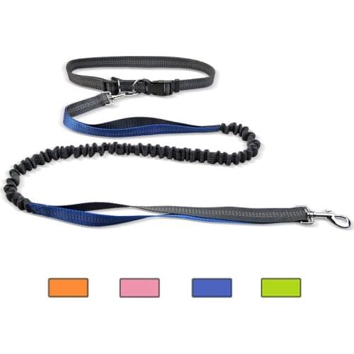 Night Reflective Elastic Nylon Dog Leashes Running Hand Free Waist Belt Jogging Leads Retractable Leash For Small Pet Dogs