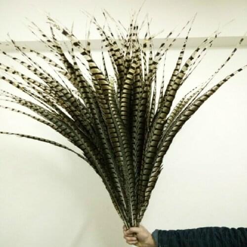 Female Ringneck Pheasant Tails,50-55CM 10pcs/lot Lady Amherst Pheasant Tail Feather,Pheasant Feather