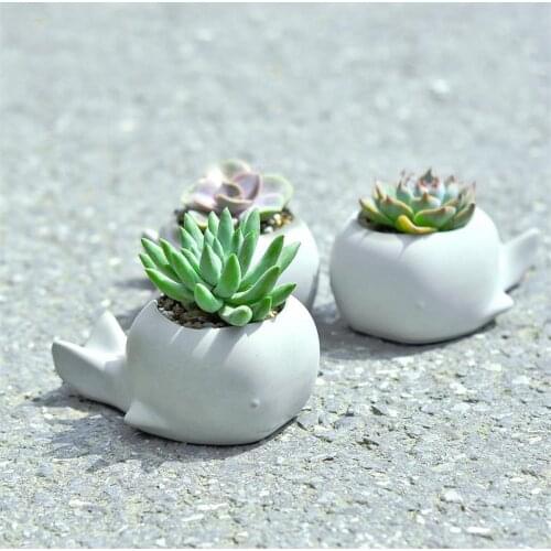 Succulent plants flower pot silicone mold cartoon animal whale shape garden plants creative concrete mold gypsum pot mold