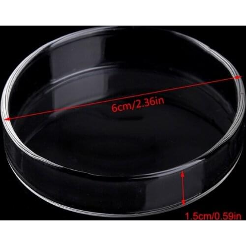 Aquarium Fish Tank Acrylic Shrimp Feeding Food Dish Bowl Feeder Tray Container