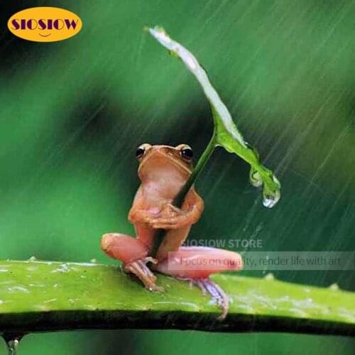 Diy 5d Diamond Painting Full Square Frog In Rain Diamond Embroidery Animal Cross Stitch Kit Home Decoration Cute Gifts For Girls