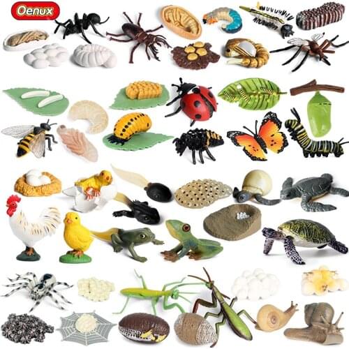 Oenux Animal Life Growth Cycle Model Play Set Butterfly Honey Bee Ladybug Insect Figurine Toy Educational School Project For Kid