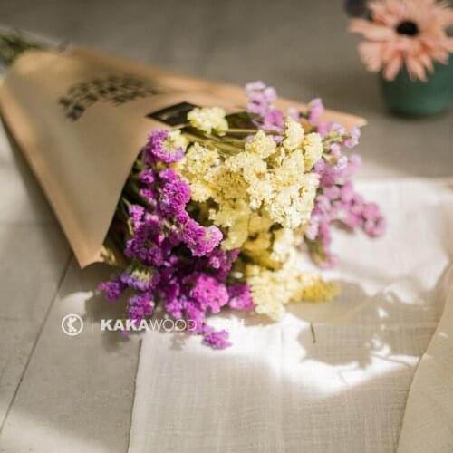 Myosotis Sylvatica Dried Flowers Real Flowers Branches Art Flower Arrangement Dried Branches DIY Living Room Hipster Decoration