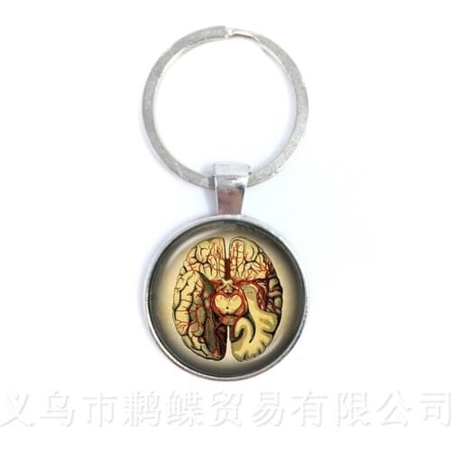 Human Anatomy Brain Keychains Glass Cabochon Weird Cool Science Personalized Doctor Pendant Organ Creative Gift