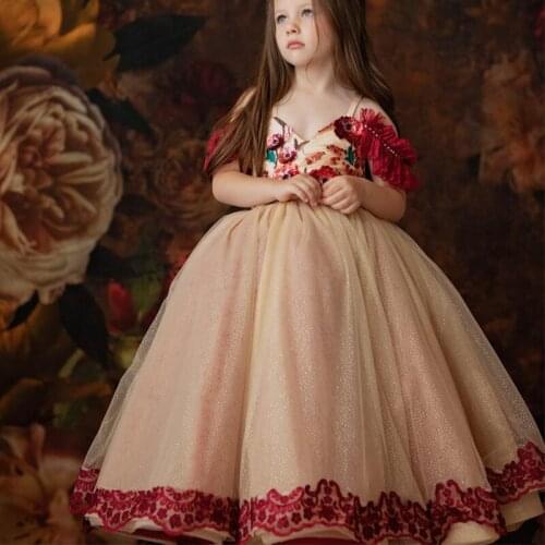 Cute Flower Girl Dresses For Wedding V Neck Lace Appliques Puffy Girls Pageant Gowns Little Princess Birthday Dress