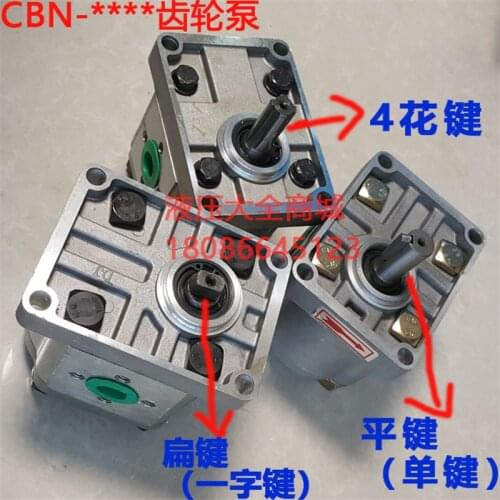 CBN-E314 16MPA High pressure gear pump hydraulic oil pump for Fengshou Lenar 254 tractor parts