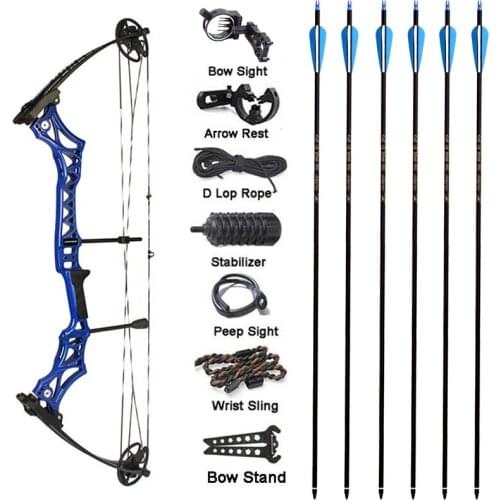30-55 Pound Archery Bow 300 Feet Per Second Compound Bow Power Ratio 80% Outdoor Archery Hunting Shooting