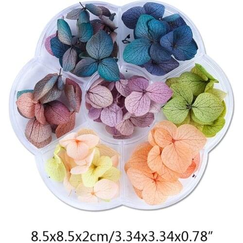 Dry Flower DIY Epoxy Resin Handmade Crafts Filling Materials Dried Flowers Time Stone Jewelry Making Filler Desktop Decorations