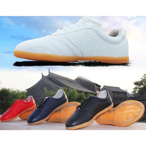 UNISEX Summer&spring Martial arts tai chi shoes kung fu wushu taiji training sneakers black/white/blue/red