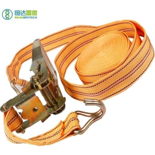 Beekeeping Beehive Cargo Lashings Strap Belt Bee Hive Tool Bees Keeping Apiculture Equipment and Tools for Beekeeper HDBA-007