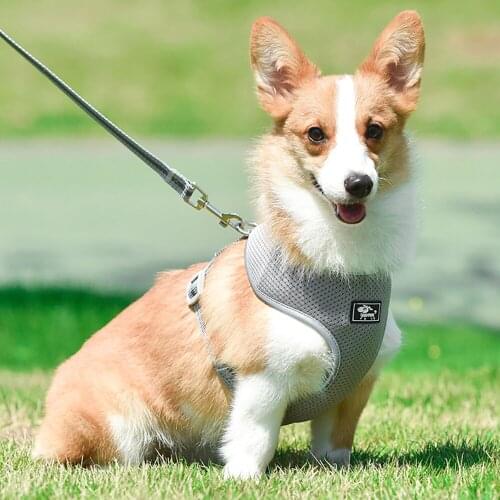 Breathable Mesh Dog Chest Harness Reflective Comfort Soft Pet Vest Rope Strap Leash Set Collar Leads