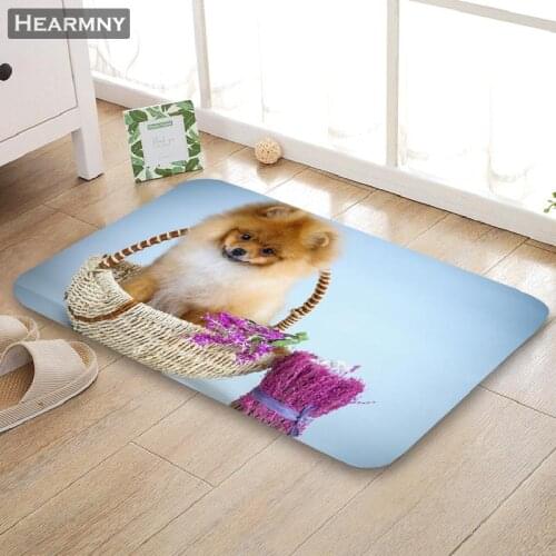 HEARMNY New Arrival Funny Doormat Dog Home Mat Machine Made Anti Slip Carpet Living Room/Hallway Bath Mat For Kids