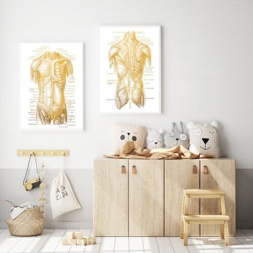 Human Body Anatomy Physical Wall Art Canvas Painting Nordic Posters And Prints Gym Wall Pictures For Doctors Office Wall Decor