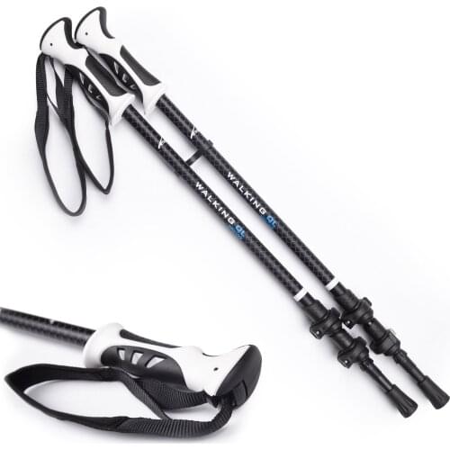 Nordic Walking Sticks Evolite China