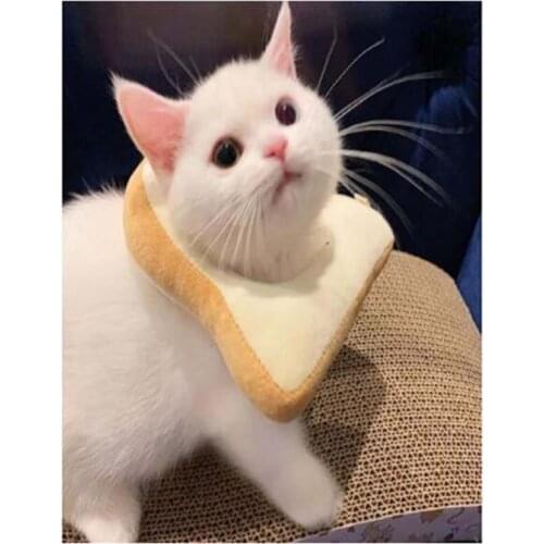 5D Diy Full Circle/Square Cute Little White Cat Cat Embroidery Animal Diamond Painting Mosaic Picture Set Home Decor FC635