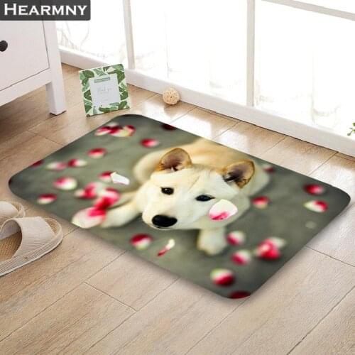 New Lovely Shiba Dog Door Mat High Quality Print Carpets Anti-slip Floor Mat Outdoor Rugs Animal Front Door Mats 40x60 50x80cm
