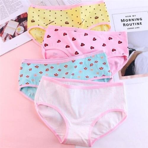 2019 NEW 4Pcs/Lot Cute Girl Panties Underwear Briefs Cotton Lingerie Soft Comfortable Panty TWY-Y35-4p
