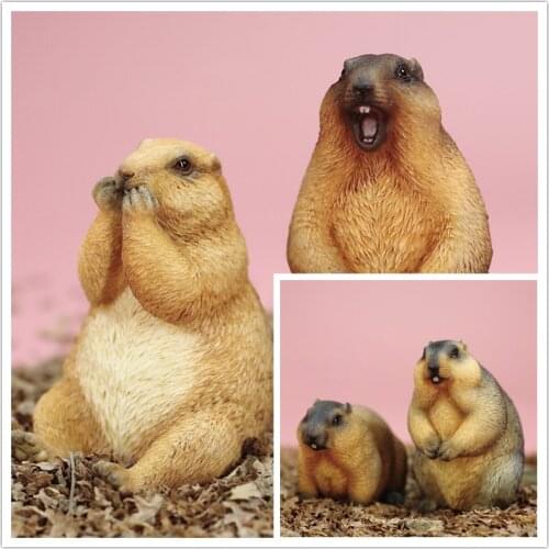Mr.Z Studio 1:6 Marmota Figure Sciuridae Wild Animal Model Collector Decor GK Toy Kids Gift Mini Cute Palm Accessories Tide