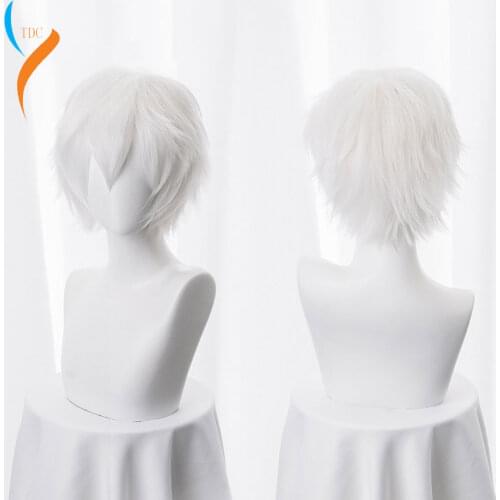 2019 wig New Gintama Gintoki Sakata Cosplay Wigs 35cm/13.8inches Short White Men Synthetic Hair Perucas Cosplay Wig