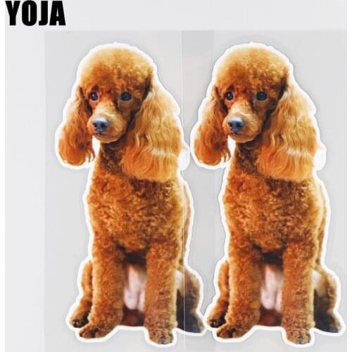 YOJA 8.4×17.1CM Cute Poodle Animal Vinyl Car Stickers Decals Fashion Body Decoration Accessories 19B-0102