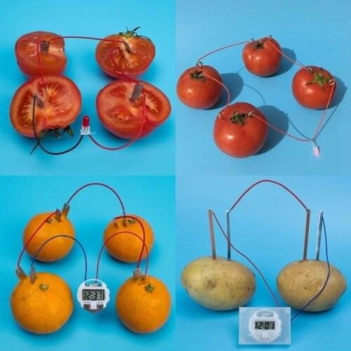 Bio Energy Science Kit Potato Fruit Supply Electricity Experiments Kids Children Student Learining Science Educational Toy