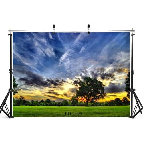 Photographic Background Scenic Grassland Tree Sunset Vinyl Cloth Backdrops Fond Studio Photo Kids Newborn Portrait Photophone